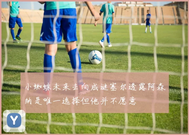 小蜘蛛未来去向成谜塞尔透露阿森纳是唯一选择但他并不愿意