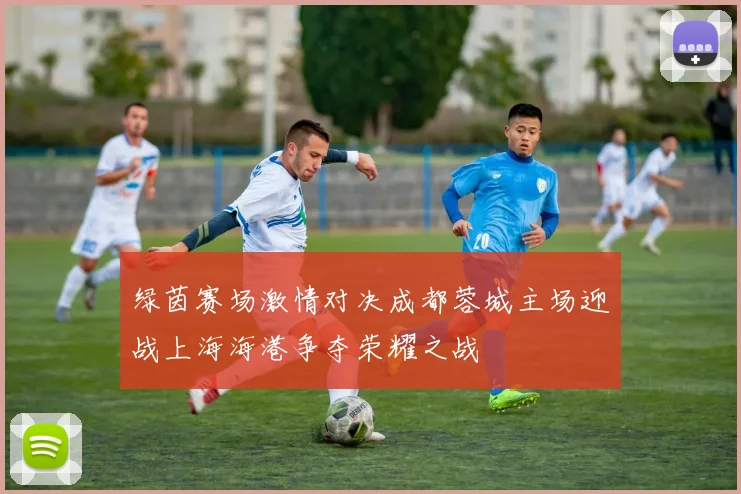 绿茵赛场激情对决成都蓉城主场迎战上海海港争夺荣耀之战